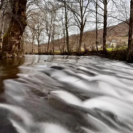 公寓 La Maison Aux Volets Bleus 2eme Etage 塞尔河畔维克