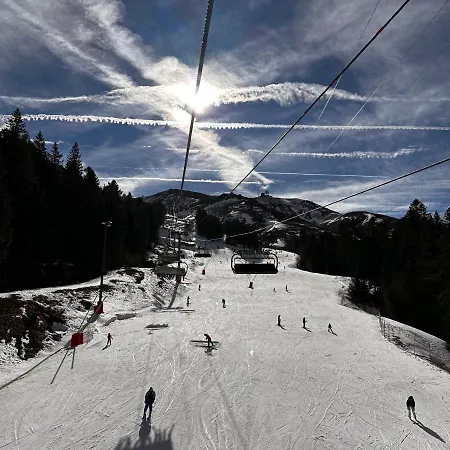 公寓 La Maison Aux Volets Bleus 2eme Etage 塞尔河畔维克